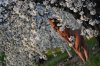47/4 DSC_2902 kim site.jpg